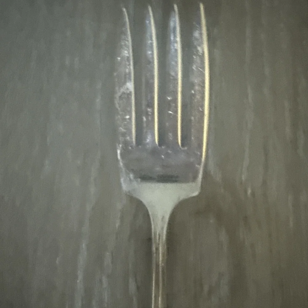 Vintage National Silver Co. Silverplate Solid Cold Meat Fork Fourteen‎ Pattern